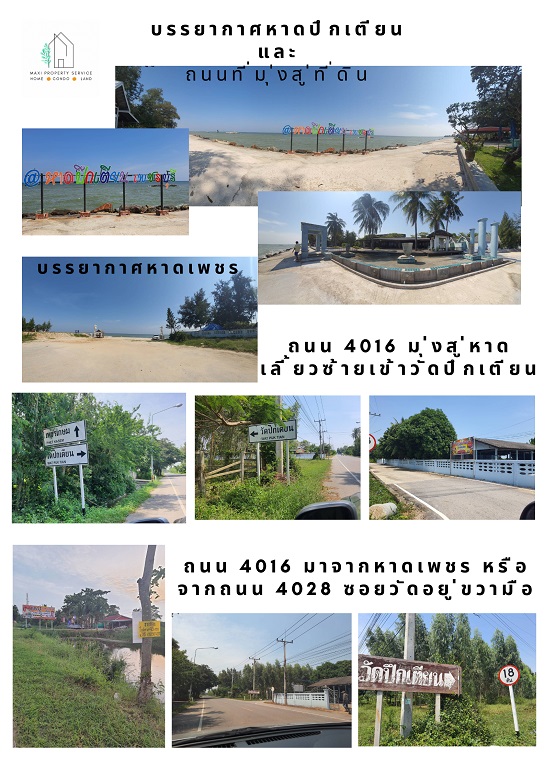 ขายที่ดินใกล้หาดปึกเตียน 48 ตรว. 279,000 บาท